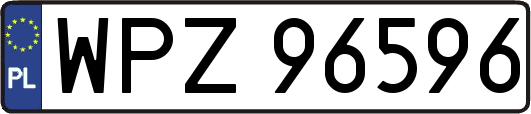 WPZ96596