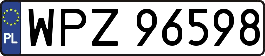 WPZ96598