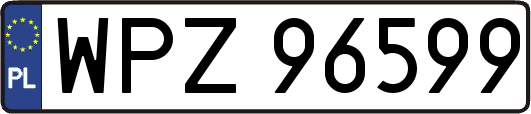 WPZ96599