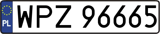WPZ96665