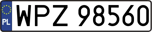 WPZ98560
