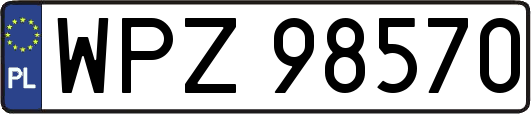 WPZ98570