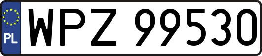 WPZ99530