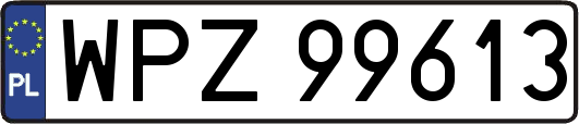 WPZ99613