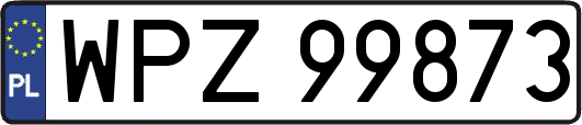 WPZ99873