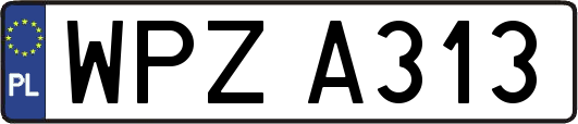 WPZA313