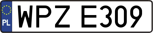 WPZE309
