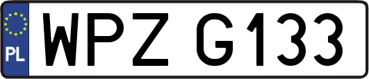 WPZG133