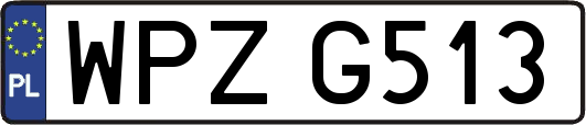 WPZG513