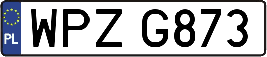 WPZG873
