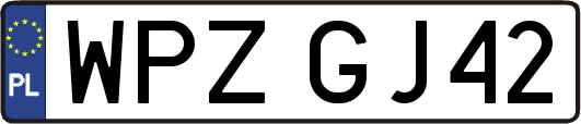 WPZGJ42
