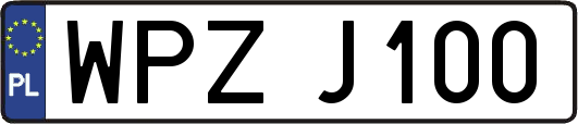 WPZJ100