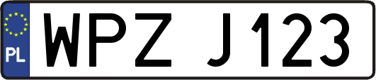 WPZJ123