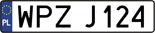 WPZJ124