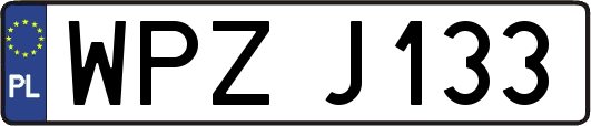 WPZJ133