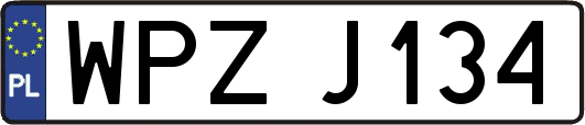 WPZJ134