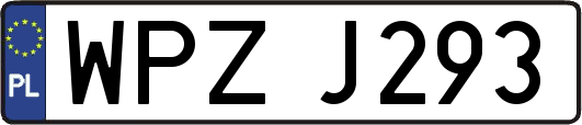 WPZJ293