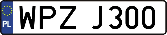 WPZJ300