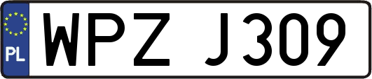 WPZJ309