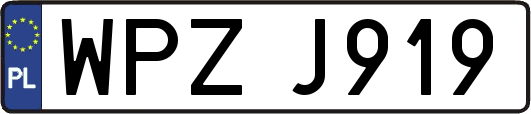 WPZJ919