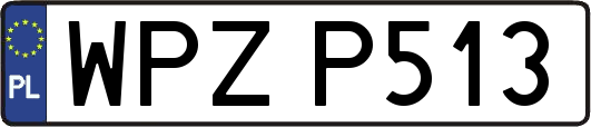 WPZP513