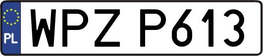 WPZP613