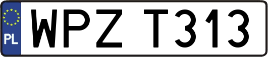 WPZT313