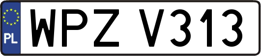 WPZV313