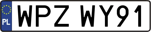 WPZWY91
