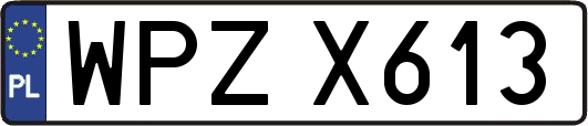 WPZX613