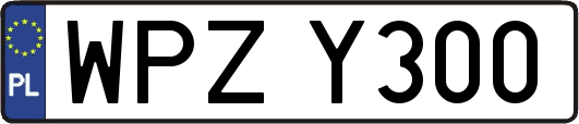 WPZY300