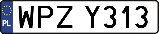 WPZY313