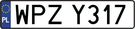WPZY317