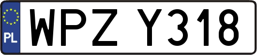 WPZY318