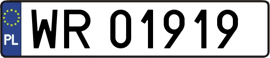 WR01919