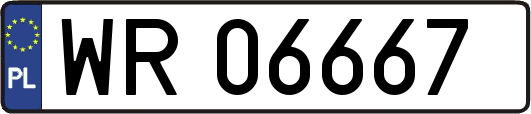 WR06667