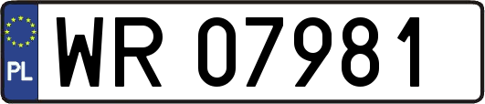 WR07981