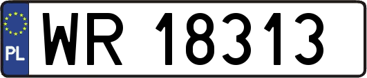 WR18313
