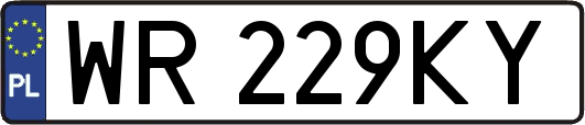WR229KY