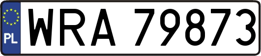 WRA79873