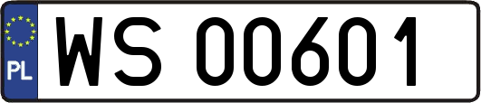 WS00601