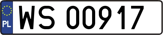 WS00917