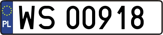 WS00918