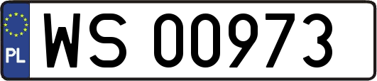 WS00973