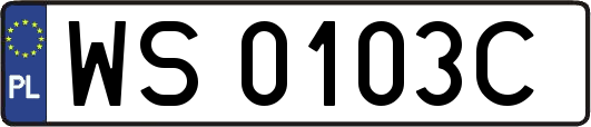 WS0103C