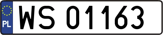 WS01163