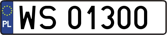 WS01300