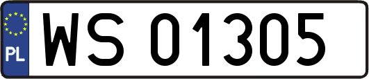WS01305