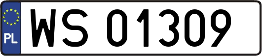 WS01309