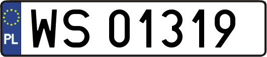 WS01319